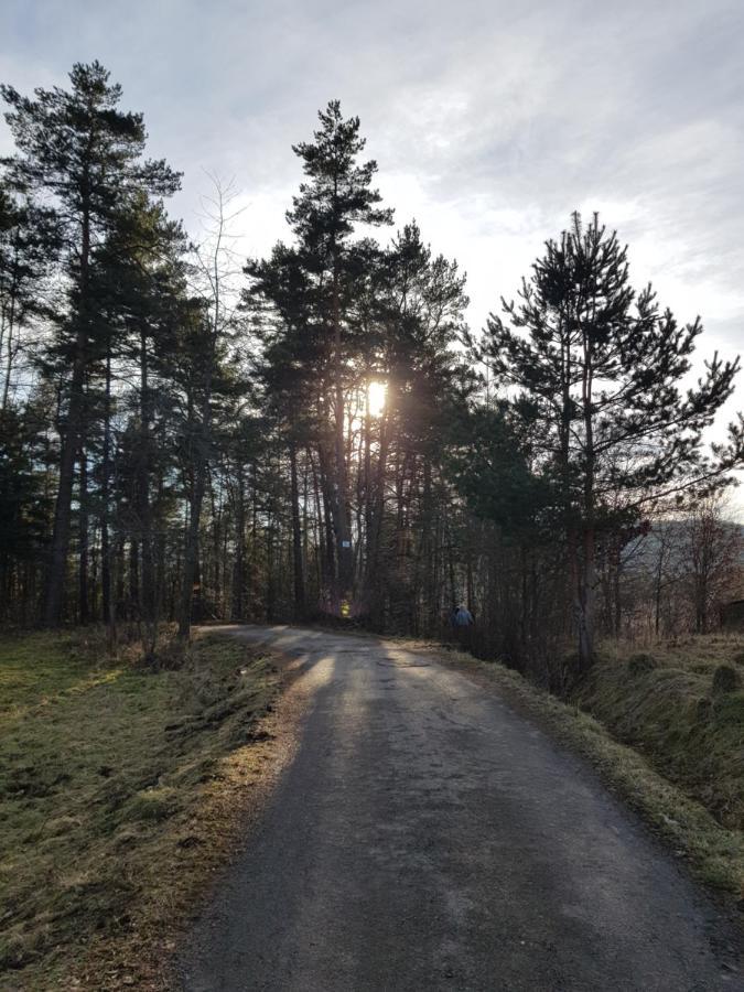 Domek Na Folwarku Tarnawa Dolna  Dış mekan fotoğraf