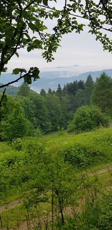 Domek Na Folwarku Tarnawa Dolna  Dış mekan fotoğraf