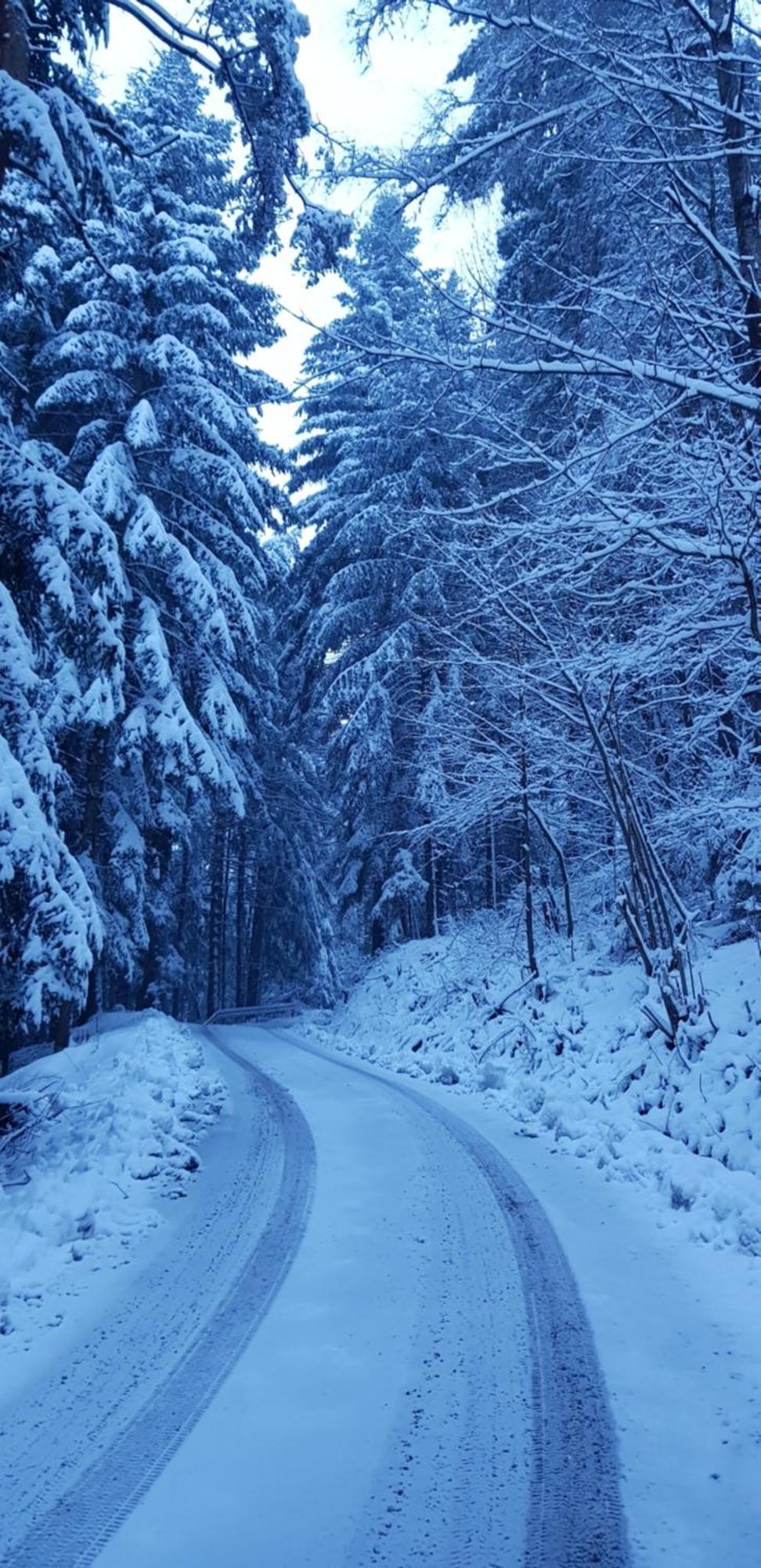Domek Na Folwarku Tarnawa Dolna  Dış mekan fotoğraf